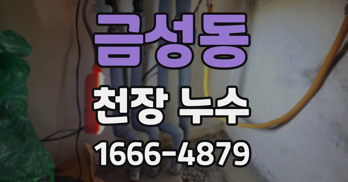 금성동 천장 누수