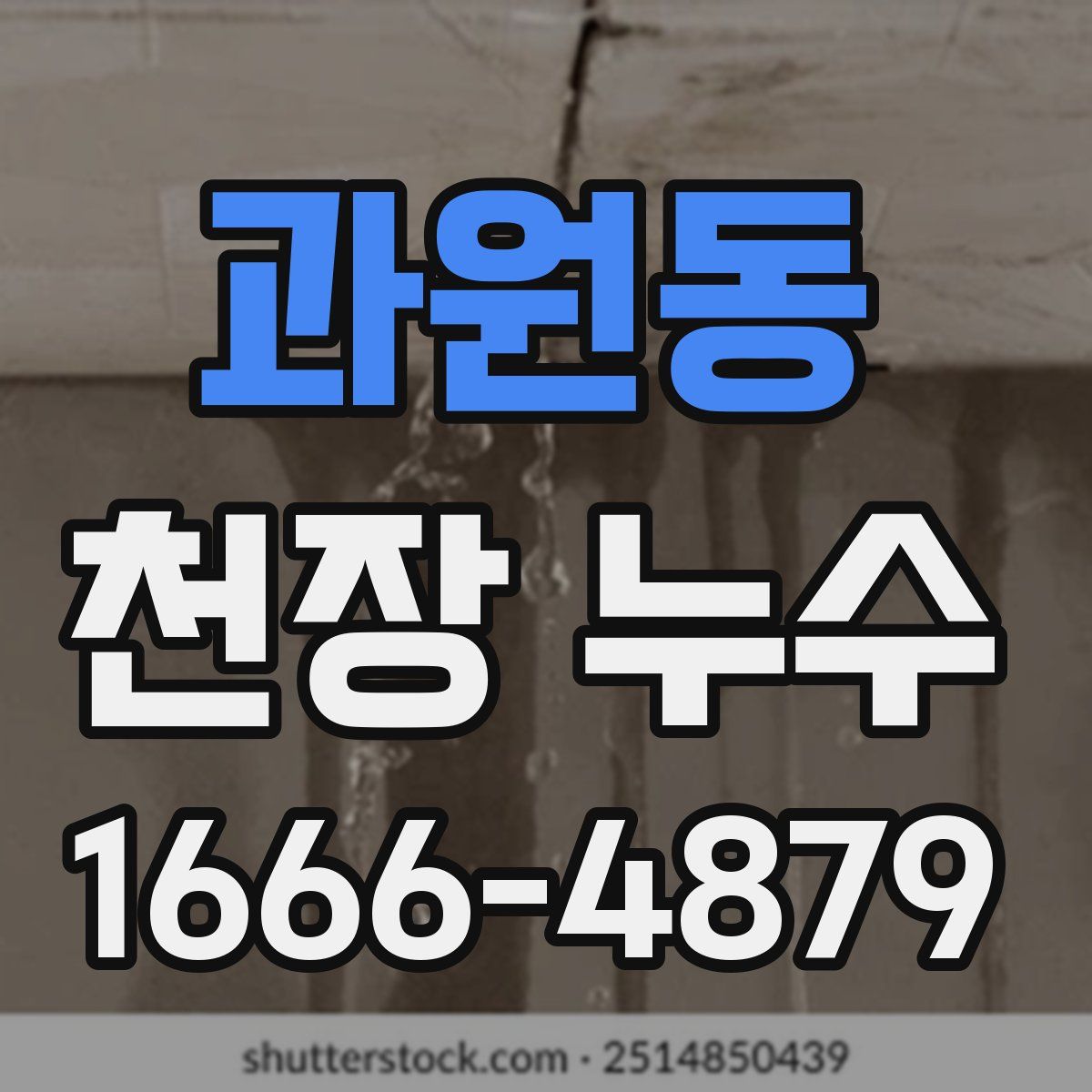 과원동 천장 누수