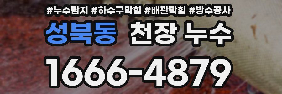 성북동 천장 누수