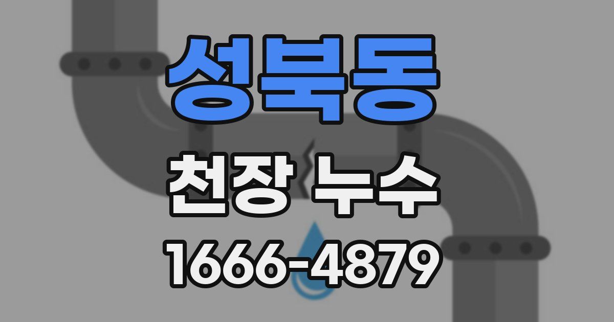 성북동 천장 누수