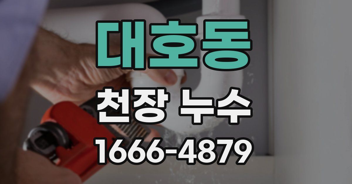 대호동 천장 누수