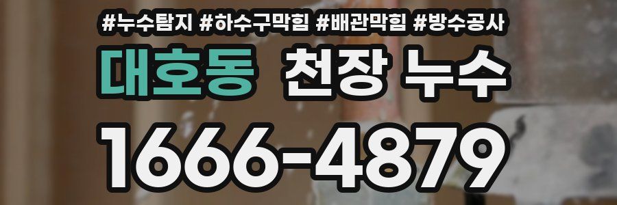 대호동 천장 누수