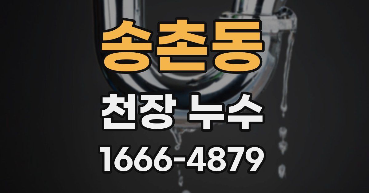 송촌동 천장 누수