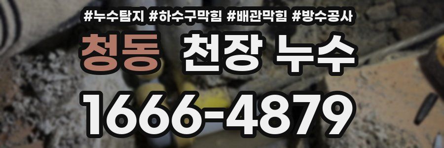청동 천장 누수