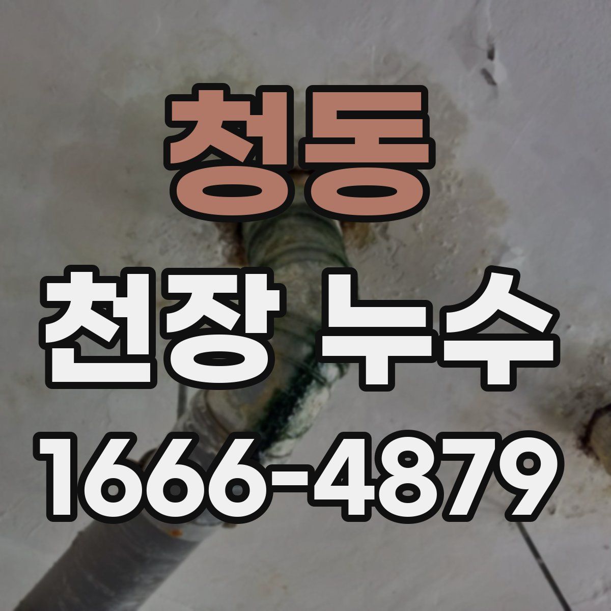 청동 천장 누수