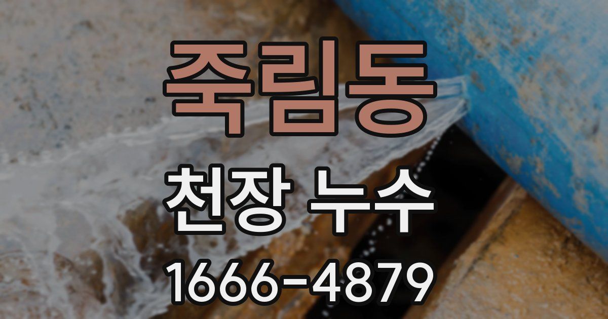 죽림동 천장 누수