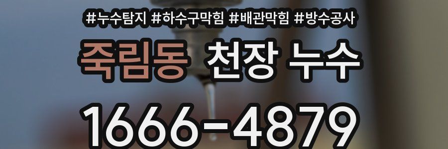 죽림동 천장 누수