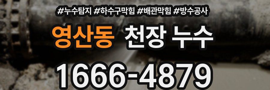 영산동 천장 누수