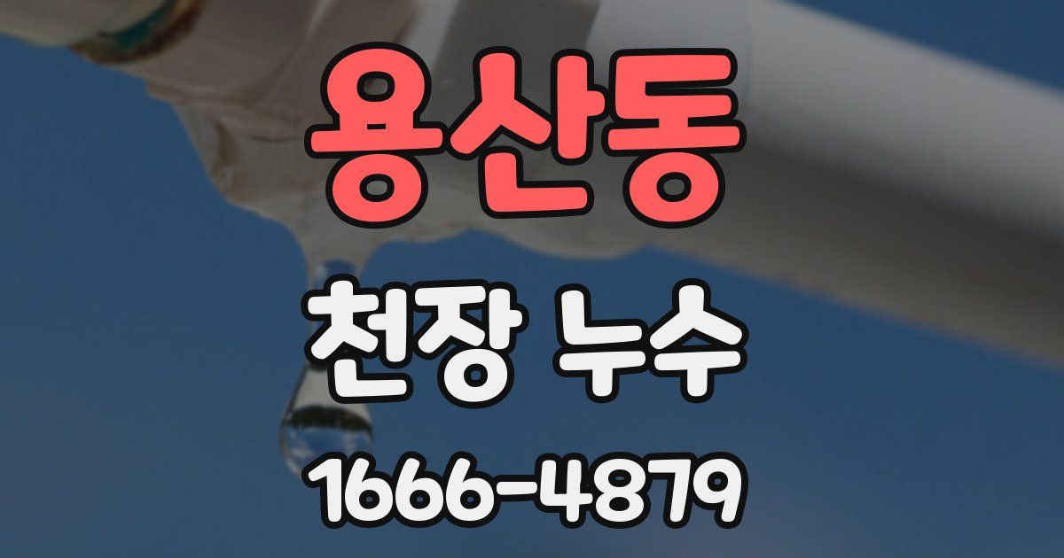 용산동 천장 누수