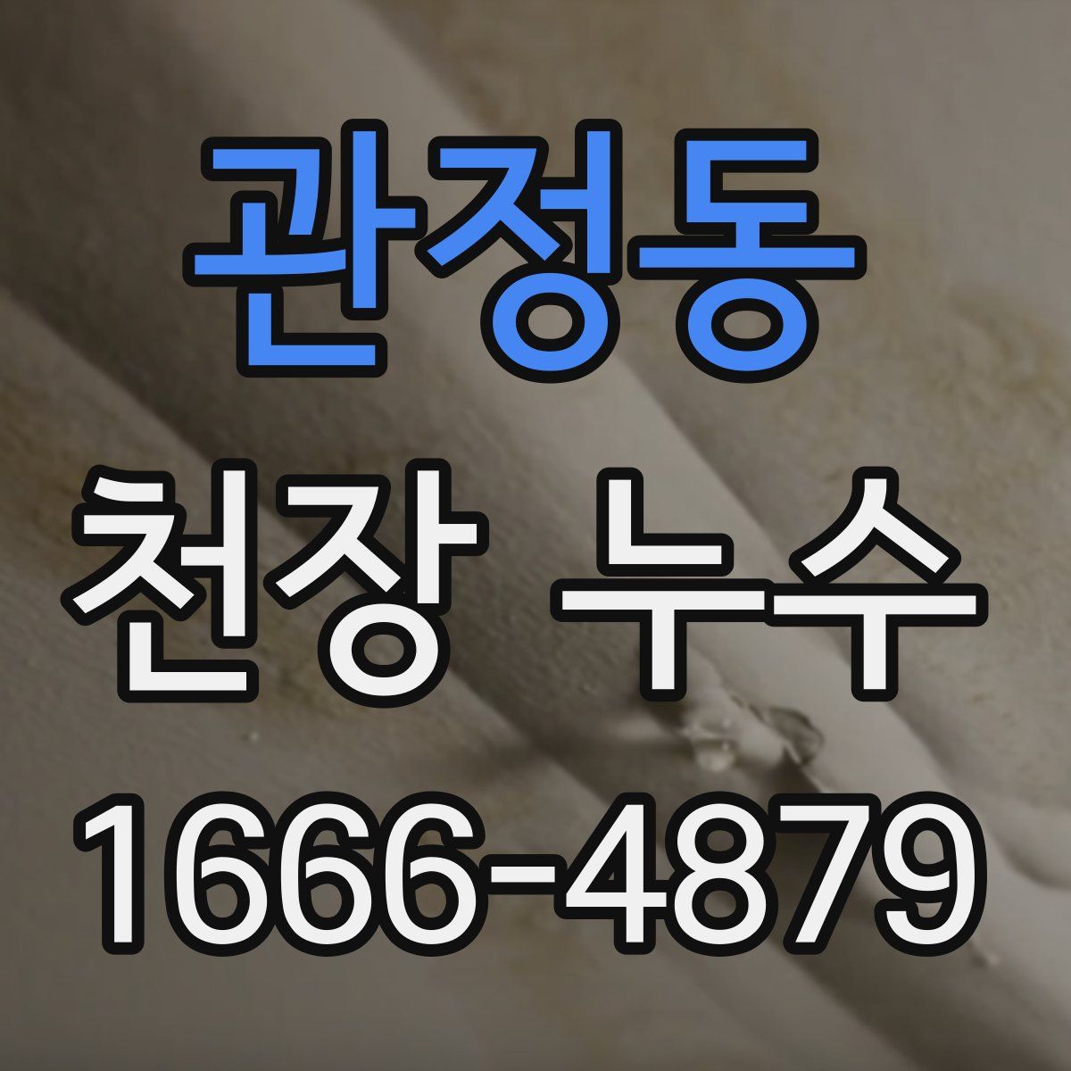 관정동 천장 누수