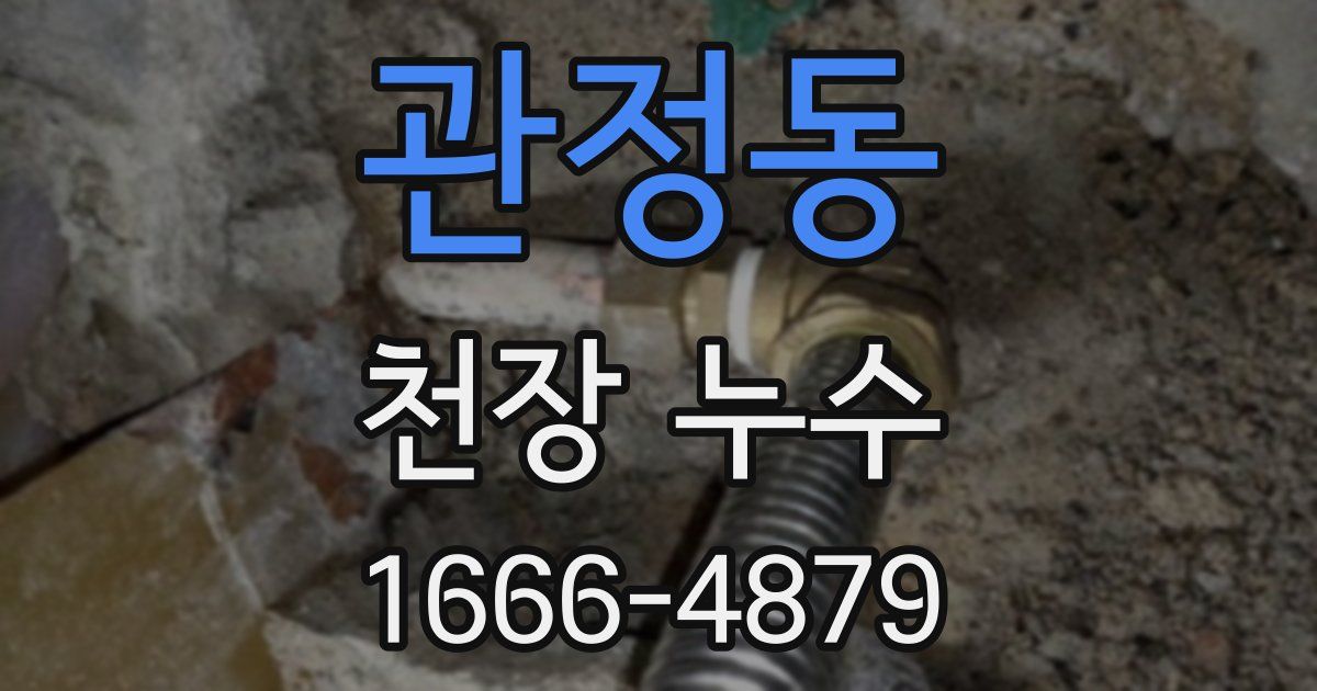 관정동 천장 누수