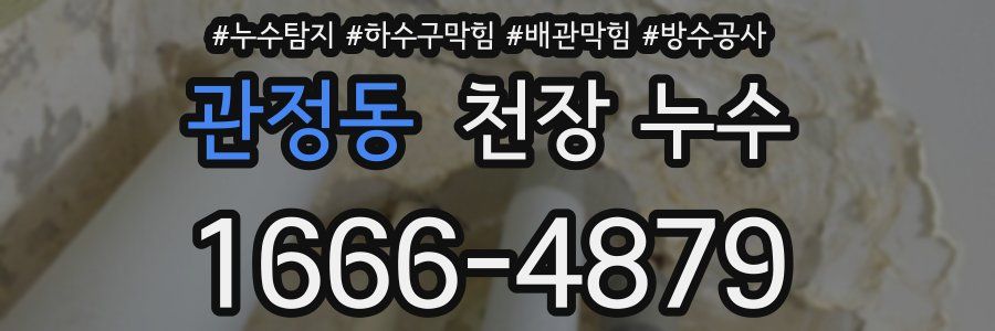 관정동 천장 누수