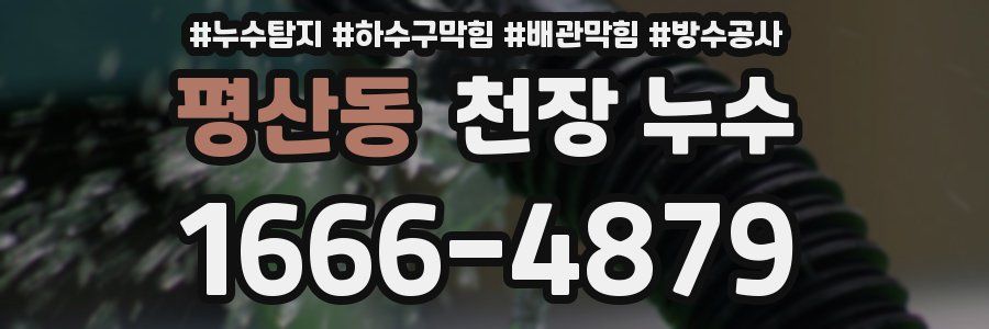 평산동 천장 누수