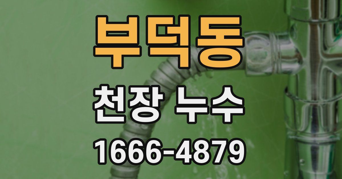 부덕동 천장 누수