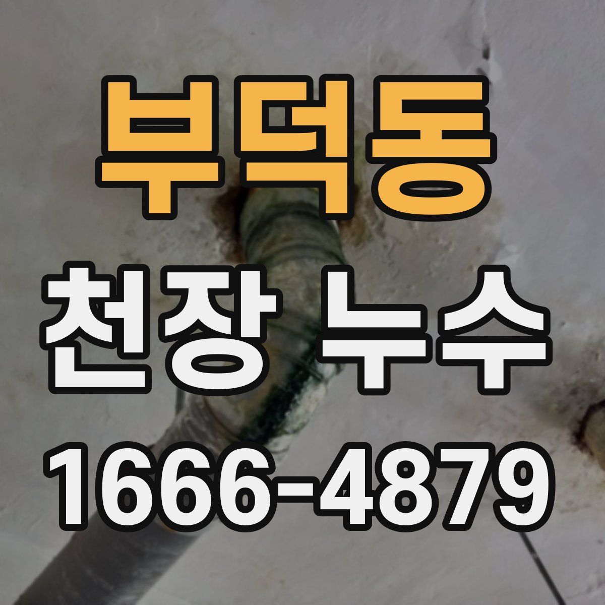 부덕동 천장 누수