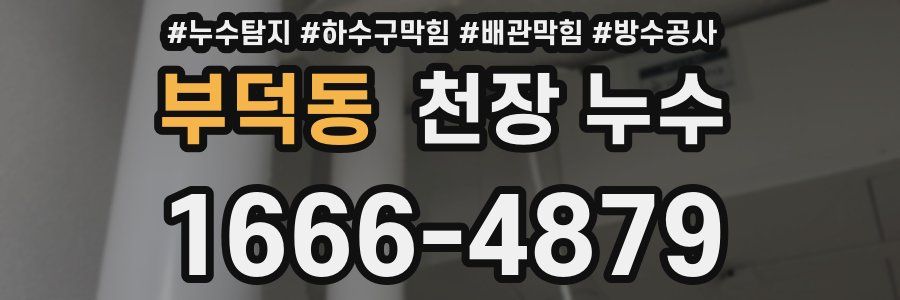 부덕동 천장 누수