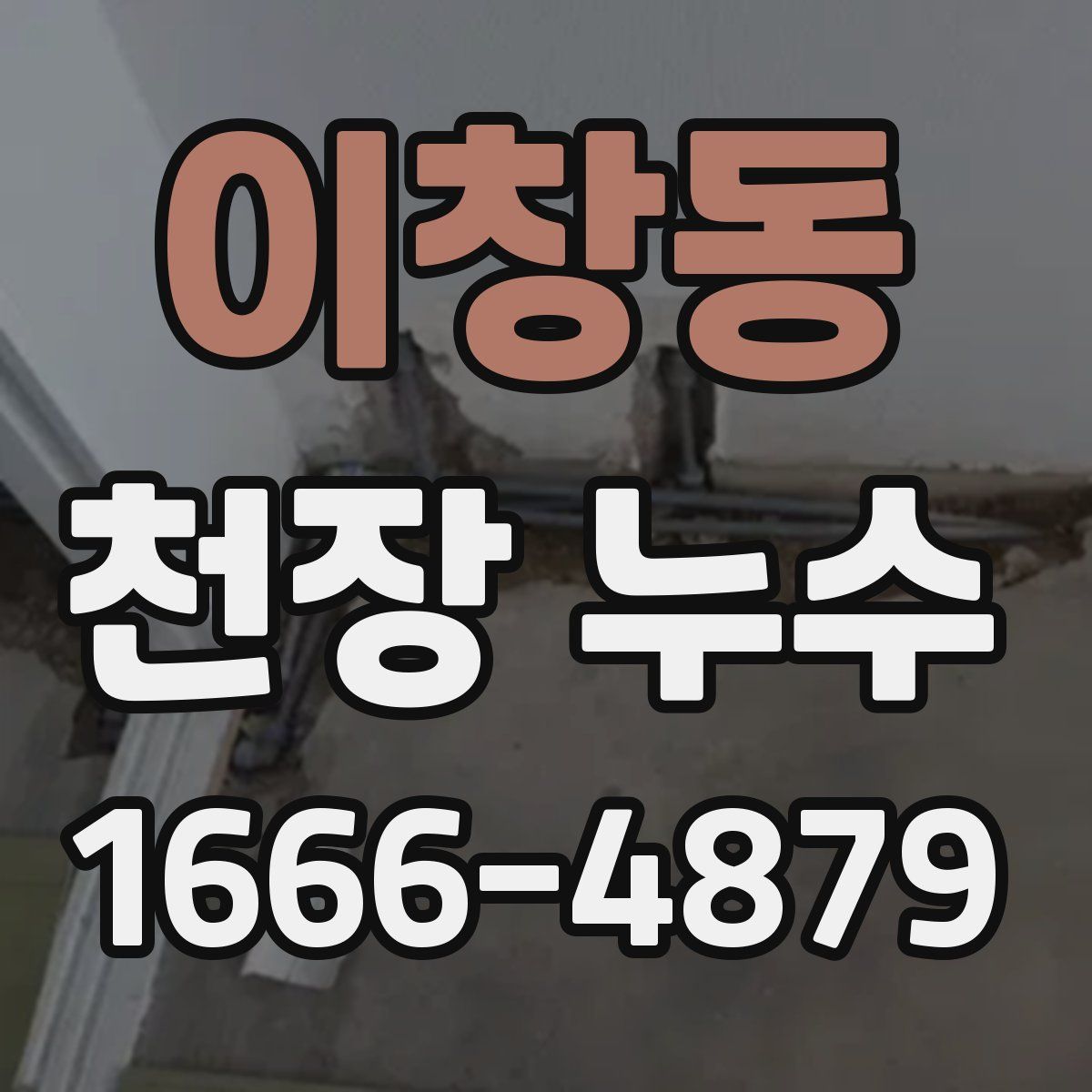 이창동 천장 누수