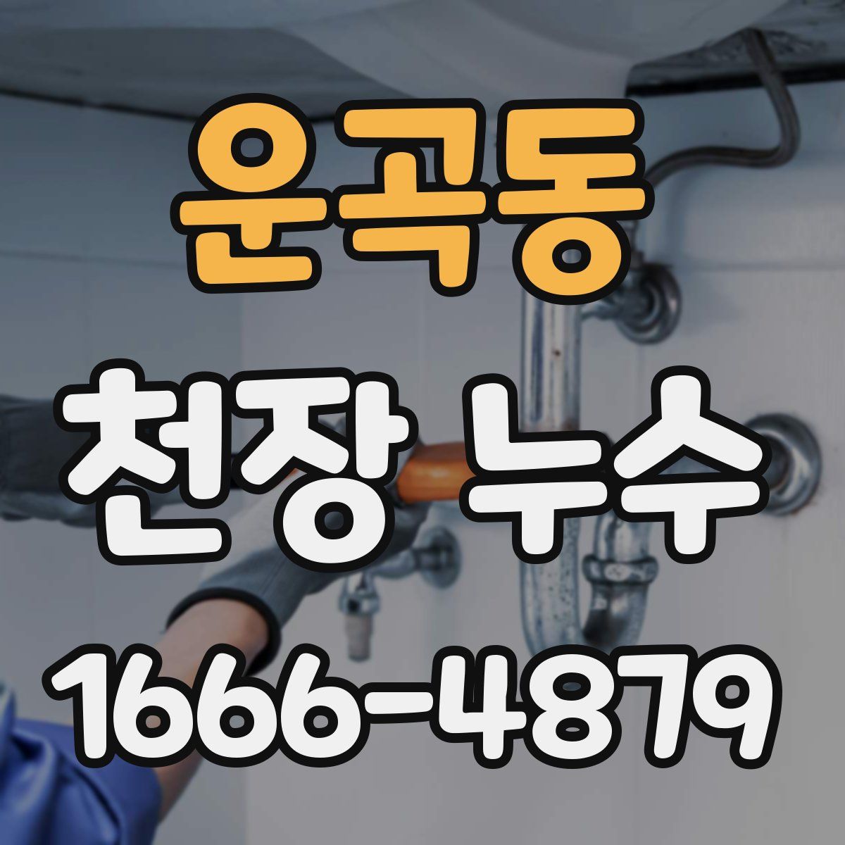 운곡동 천장 누수