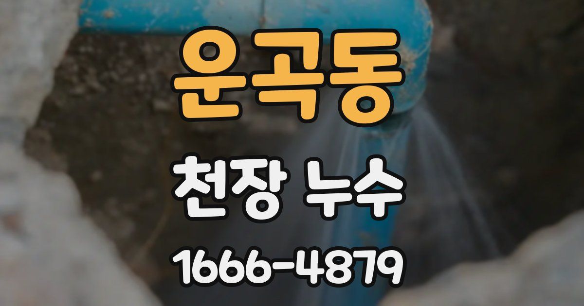 운곡동 천장 누수