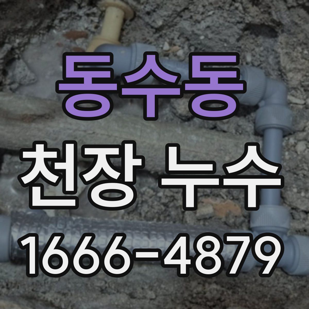 동수동 천장 누수