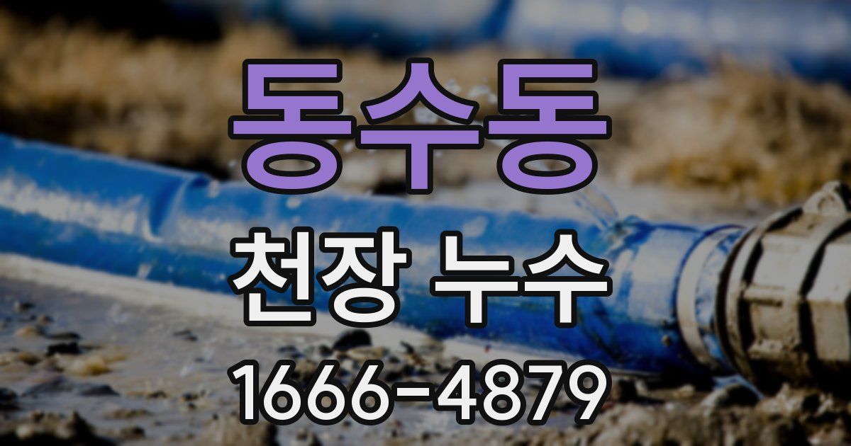 동수동 천장 누수