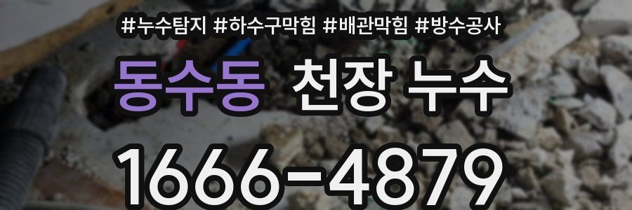 동수동 천장 누수