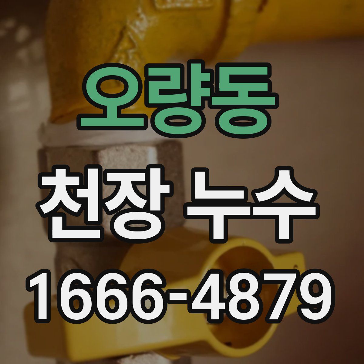 오량동 천장 누수