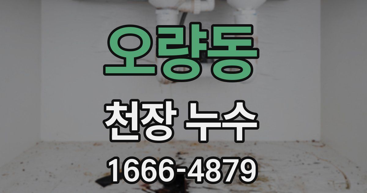 오량동 천장 누수