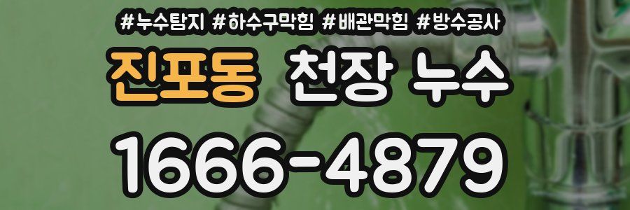 진포동 천장 누수