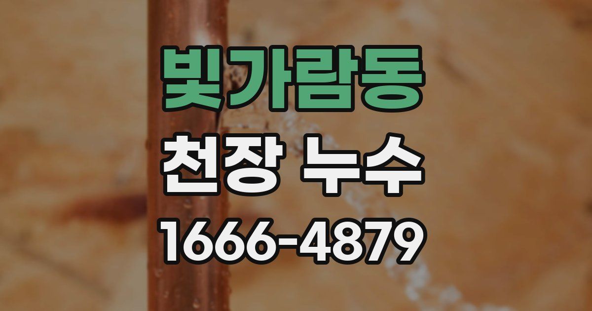 빛가람동 천장 누수