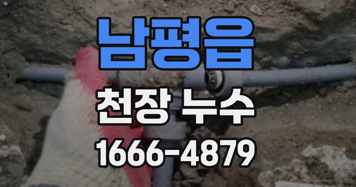 남평읍 천장 누수