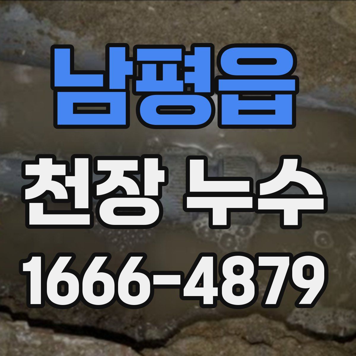 남평읍 천장 누수