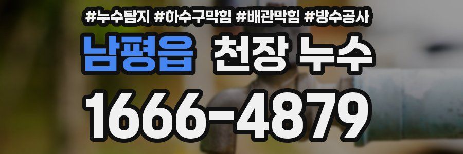 남평읍 천장 누수