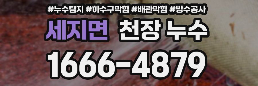 세지면 천장 누수