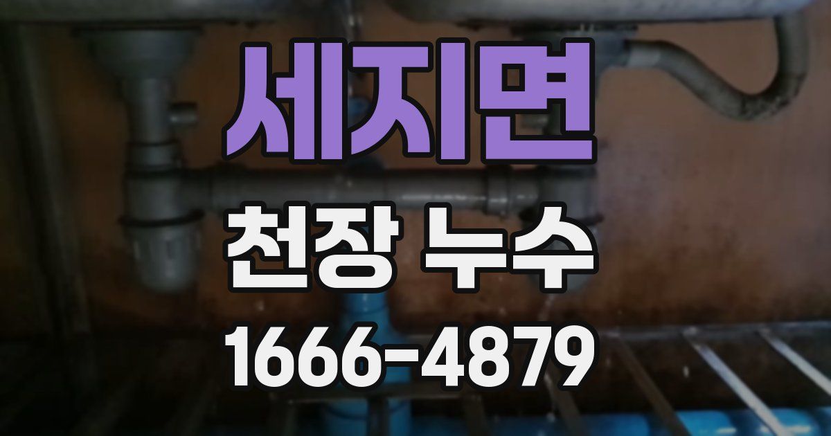 세지면 천장 누수