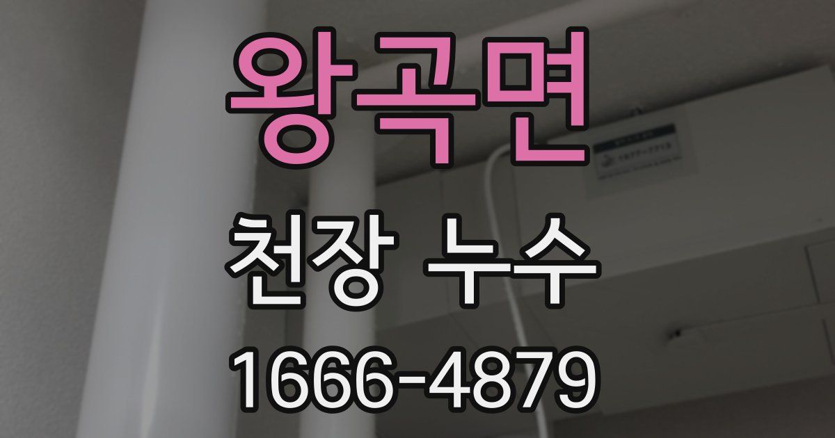 왕곡면 천장 누수