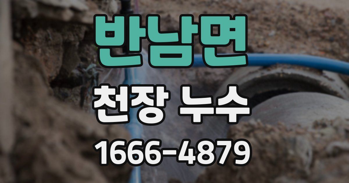 반남면 천장 누수