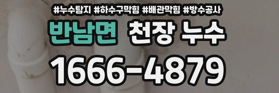 반남면 천장 누수