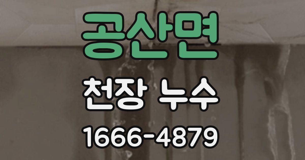 공산면 천장 누수