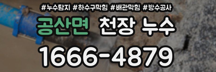 공산면 천장 누수