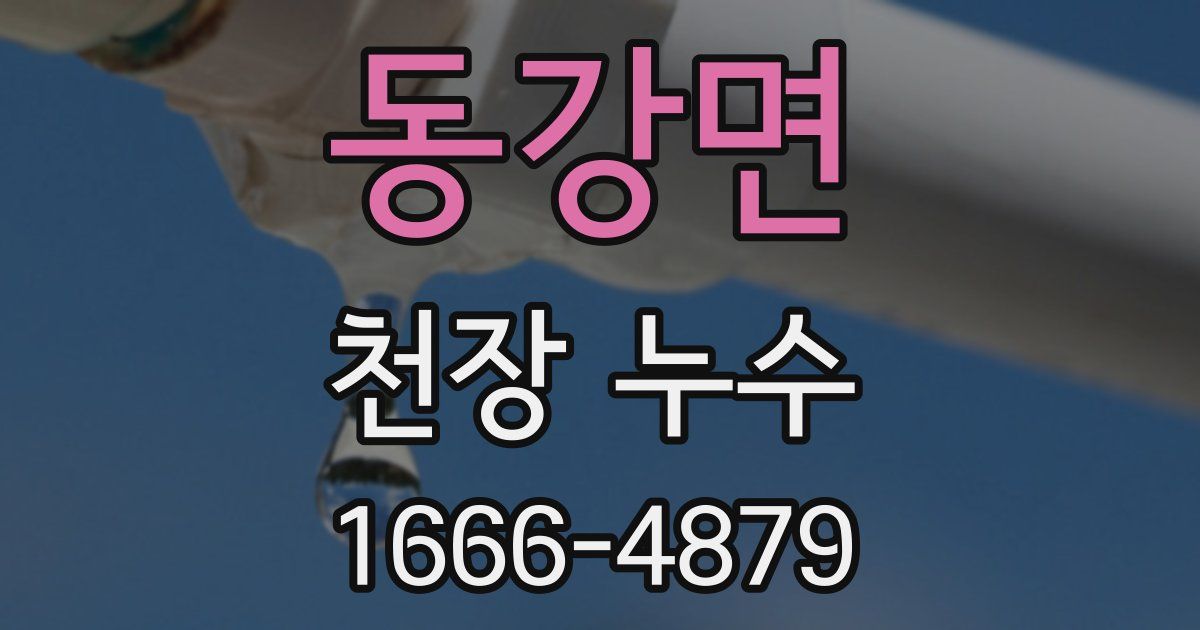 동강면 천장 누수