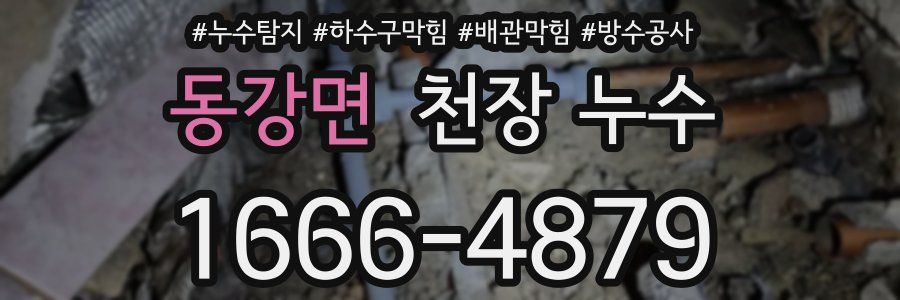 동강면 천장 누수