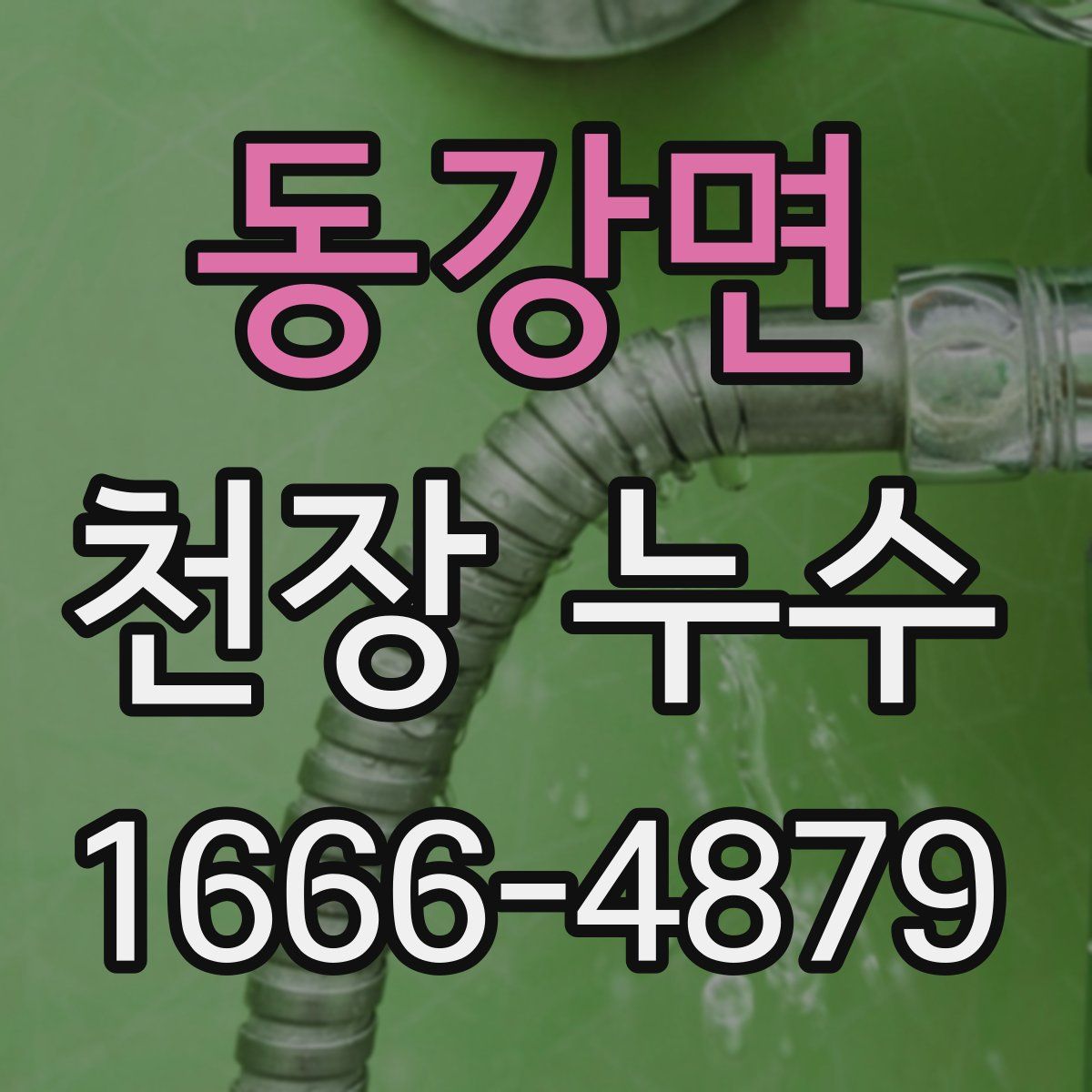 동강면 천장 누수