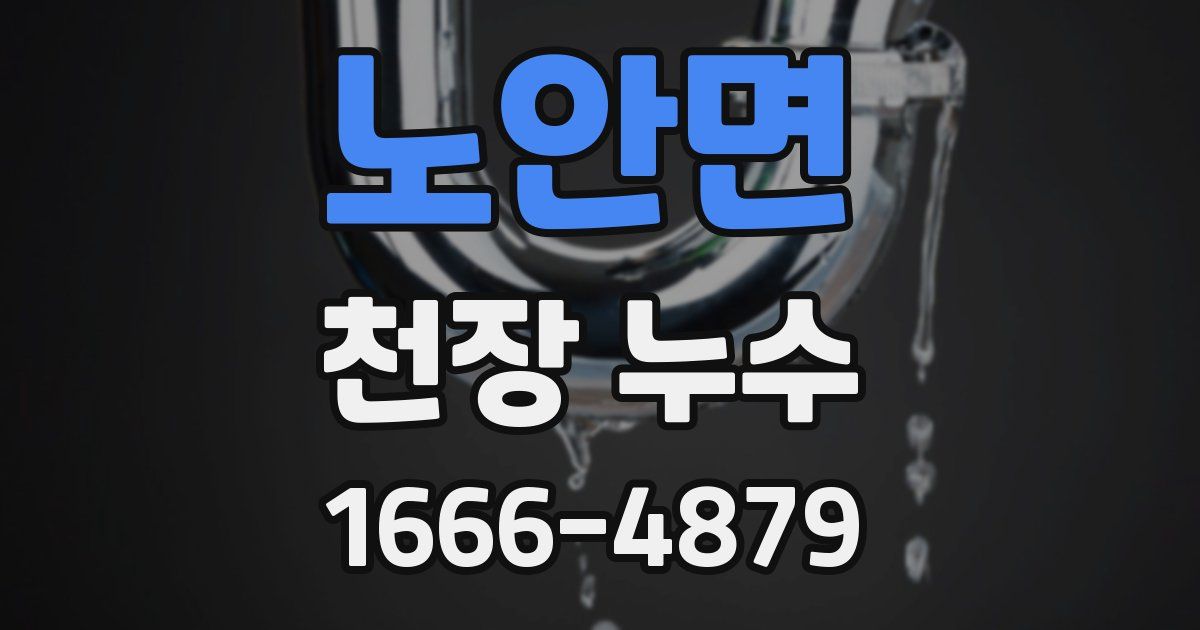 노안면 천장 누수