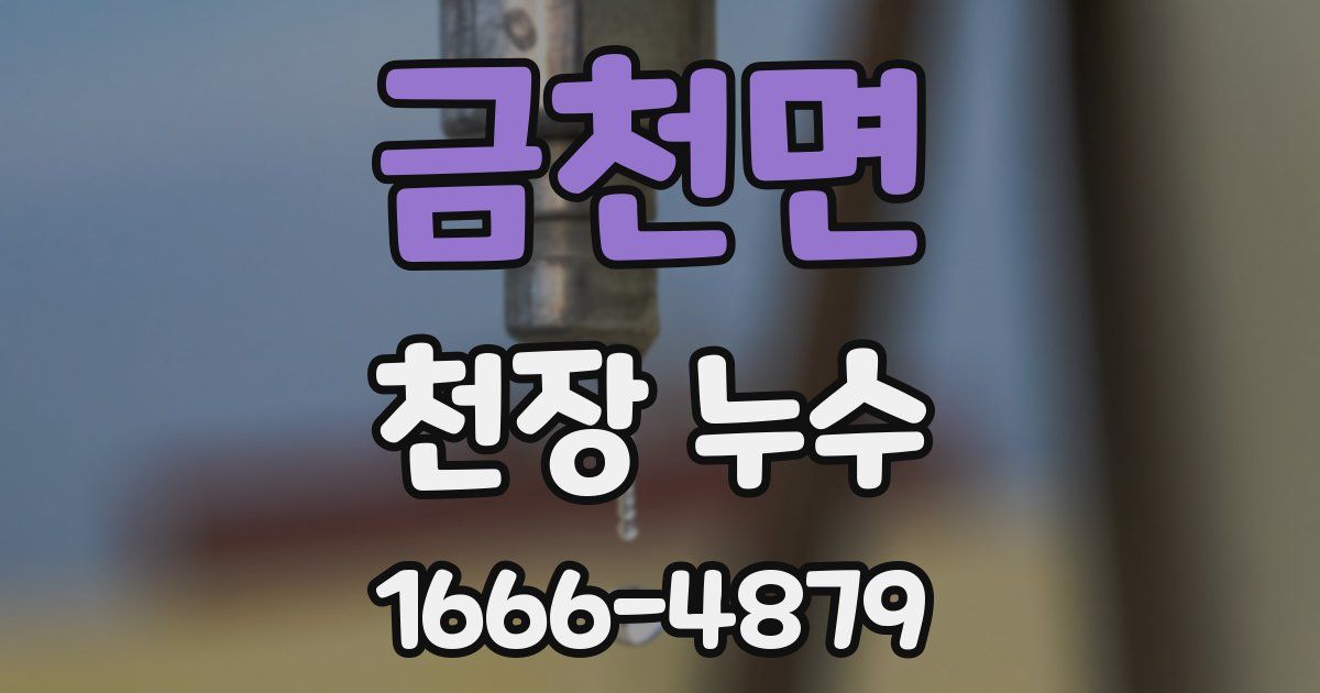 금천면 천장 누수