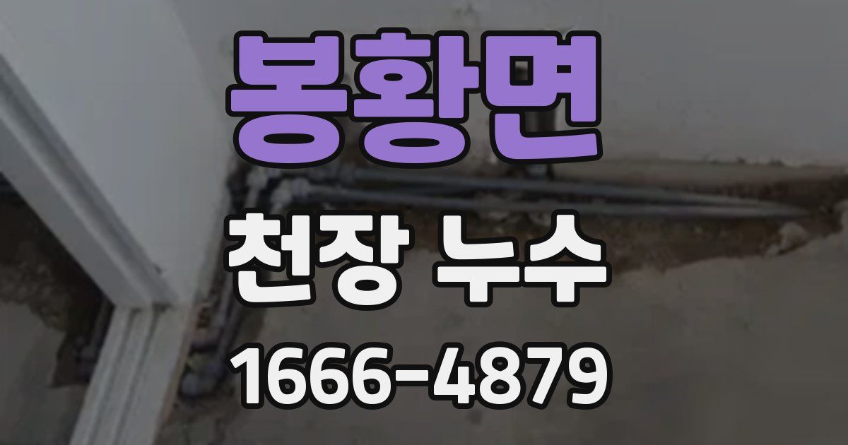 봉황면 천장 누수