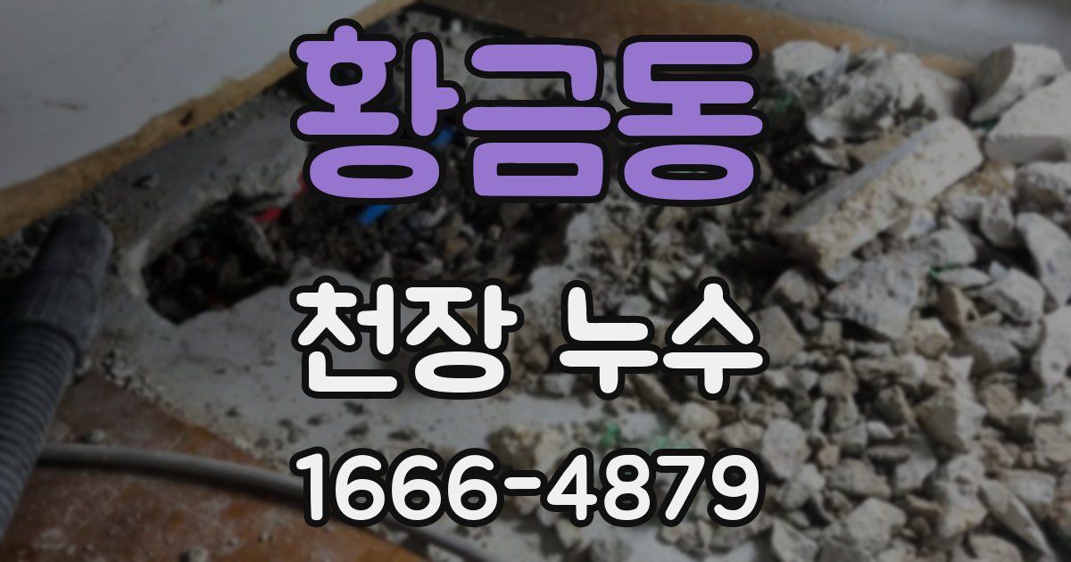 황금동 천장 누수