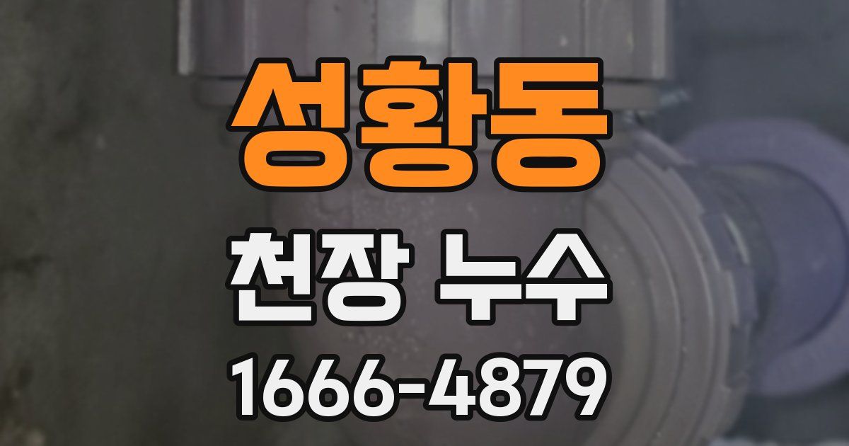 성황동 천장 누수