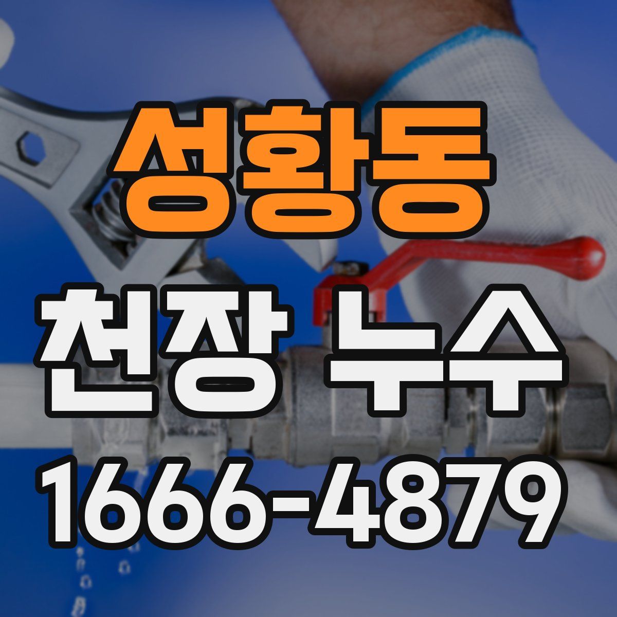 성황동 천장 누수
