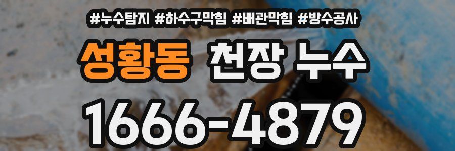 성황동 천장 누수